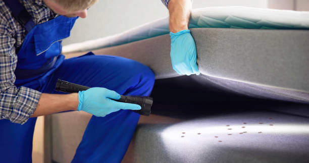 Professional Pest Control in Essexville, MI